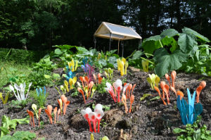 (Bild: plastophyten)