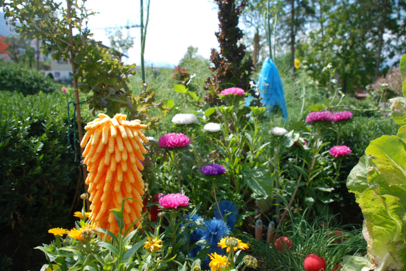 In der Bildansicht öffnen (Bild: sachseln)